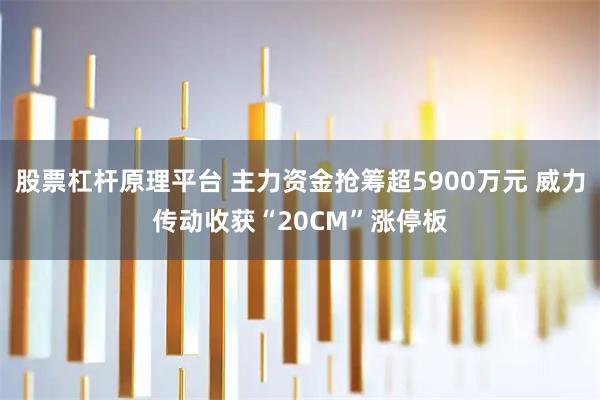 股票杠杆原理平台 主力资金抢筹超5900万元 威力传动收获“20CM”涨停板