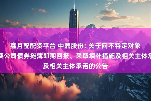 鑫月配配资平台 中鼎股份: 关于向不特定对象发行可转换公司债券摊薄即期回报、采取填补措施及相关主体承诺的公告
