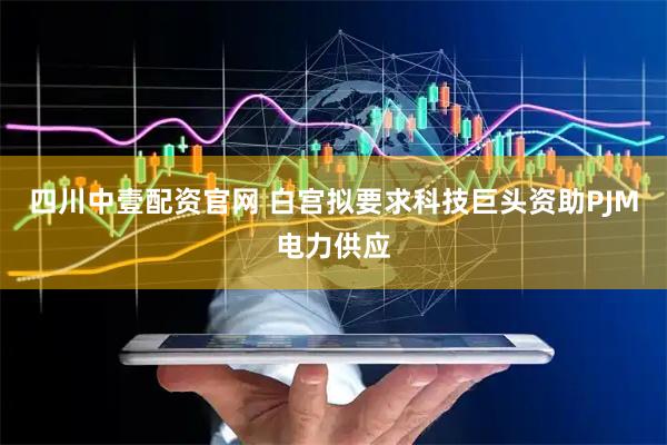四川中壹配资官网 白宫拟要求科技巨头资助PJM电力供应