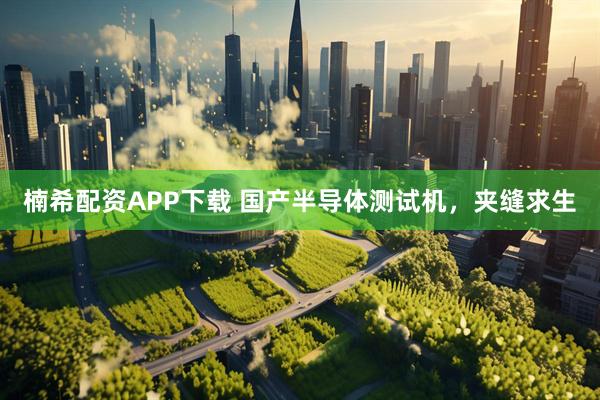 楠希配资APP下载 国产半导体测试机，夹缝求生